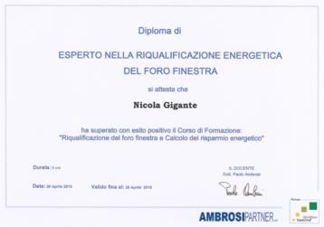 diploma esperto 